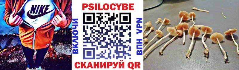 mega как войти  Ижевск  Псилоцибиновые грибы Psilocybe  где продают  