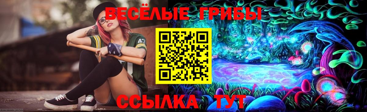 Псилоцибиновые грибы MAGIC MUSHROOMS  Галлюциногенные грибы Psilocybe  Ижевск  Вход с VPN 